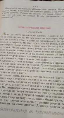 Андрей Платонов Неизвестный цветок Аудиокнига Слушать Онлайн - YouTube