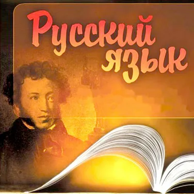 Раскраски по русскому языку и детской литературе - Товар