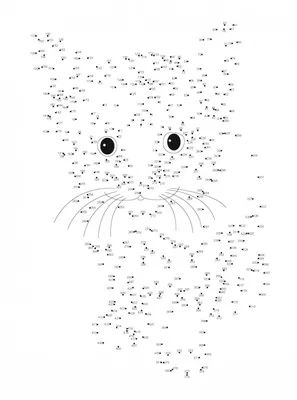 Иллюстрация 6 из 38 для Очаровательные котята. Рисуем по точкам - Cristina  Rose | Лабиринт - книги. Источник: