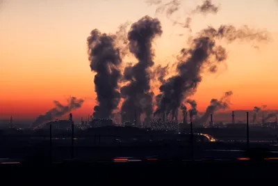 Загрязнение окружающей среды убивает 170 тысяч россиян в год