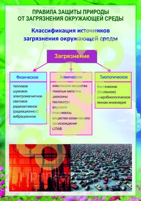 Концепция Загрязнения Окружающей Среды. Половина Живого И Полумертвого  Дерева Стоит На Перекрестке Разной Энергетической Системы. Сохранить Окружающую  Среду. Фотография, картинки, изображения и сток-фотография без роялти.  Image 65228661