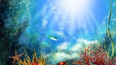 Маленькие рыбки под водой.. Стоковое Изображение - изображение  насчитывающей природа, взорвать: 170611085