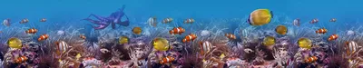 много красивых рыб плавают под водой среди коралловых рифов в море Photos |  Adobe Stock