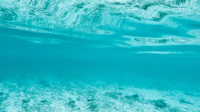 Человек под водой · Бесплатные стоковые фото