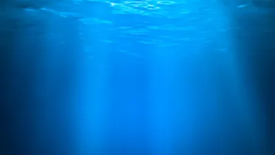 Фон моря под водой - 68 фото