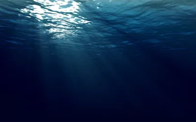 Фон моря под водой - 68 фото