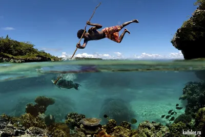 Человек, плавающий под водой · Бесплатные стоковые фото