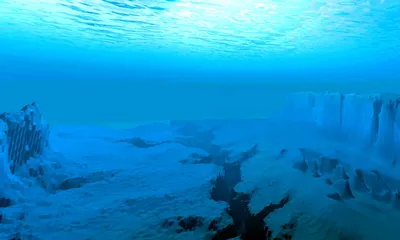 Сексуальные девушки под водой | Underwater photoshoot, Underwater model,  Underwater portrait