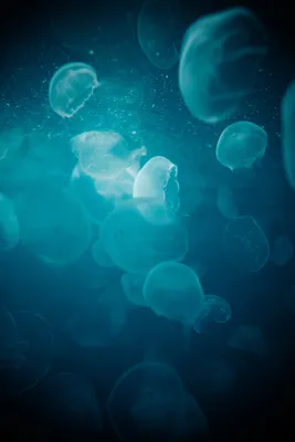 Айсберг под водой, 3D Rendering, …» — создано в Шедевруме