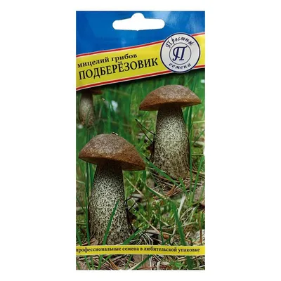Подберёзовик разноцветный (Leccinum variicolor) - Picture Mushroom