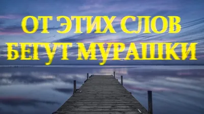 поддержка в трудную минуту текст｜TikTok Search