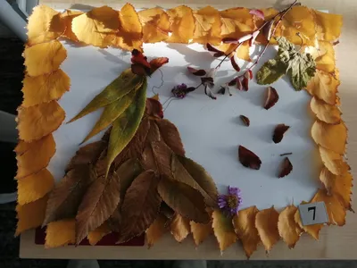 Осенние поделки из природного материала для сада и школы