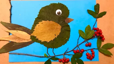 Мастер-класс по изготовлению картины из сухих листьев «Птица счастья» (11  фото). Воспитателям детских садов, школьным учителям и педагогам - Маам.ру