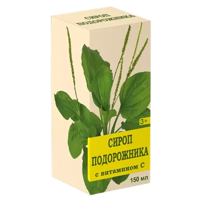 Подорожник большой - AgroFlora.ru