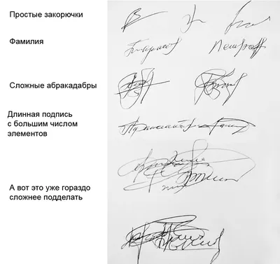 Какие подписи у алтайских чиновников, бизнесменов и врачей - Толк 26.04.2023