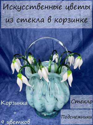 Расцветают подснежники – первые вестники весны на Татарском городище |  Ставропольская правда