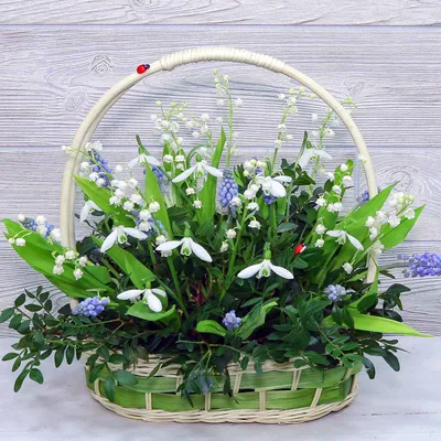 Купить Подснежники стеклянные цветы 9 шт. + корзинка бирюзовая из цветного  стекла 22 см по выгодной цене в интернет-магазине OZON.ru (962889919)