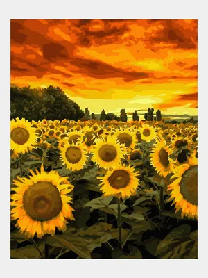 Фотообои Подсолнухи \"Подсолнух на поле в солнечный день\" - Арт. 0120014002  | Купить в интернет-магазине Фото в дом