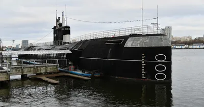 B-413 Submarine Museum, Калининград: лучшие советы перед посещением -  Tripadvisor