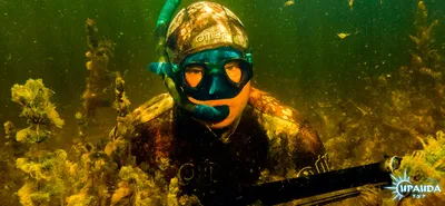 Подводная охота на Волге. Места, фото и условия. Рыболовная база отдыха Маяк