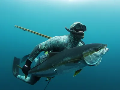 Подводная охота | Blue Marlin Bali