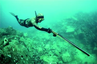 Qansonar.com – Охота, рыбалка и активный туризм - Подводная охота: советы  начинающим и необходимое снаряжение.