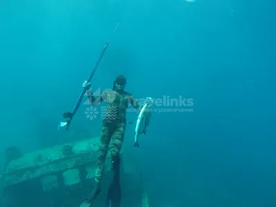 Подводная охота в Геленджике — выгодные цены на развлечение