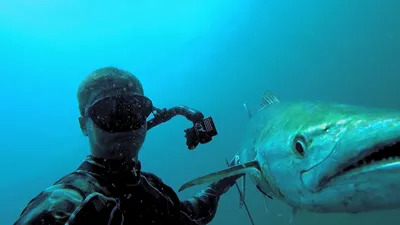 Подводная охота на Селигере - NemoPro