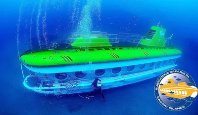 Морские Экскурсии на Подводной Лодке Submarine Safari (Санта Круз де  Тенерифе, Испания) - авторский обзор, часы работы, цены, фото | Коллекция  Кидпассаж