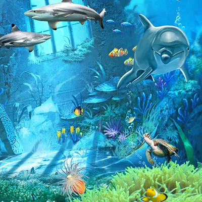 Подводный мир»