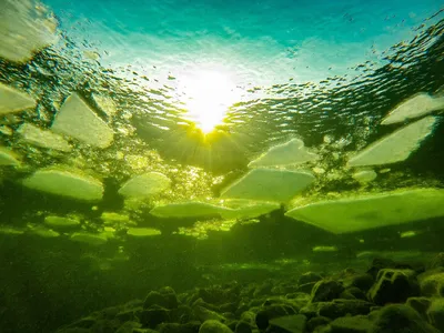 синий подводный мир фон, Рыба, коралловый, морское дно фон картинки и Фото  для бесплатной загрузки