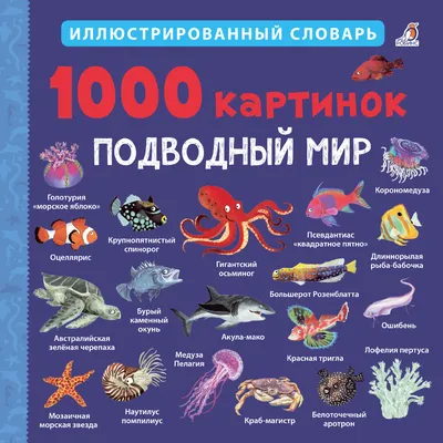 Плакат \"Подводный мир, рыбы, коралловый риф\", 40×60см (ID#824382240), цена:  190 ₴, купить на Prom.ua