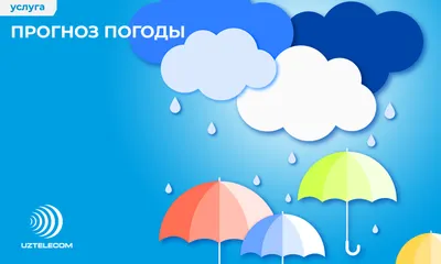 Погода на выходные: сильное похолодание и почти без осадков | MogilevNews |  Новости Могилева и Могилевской области