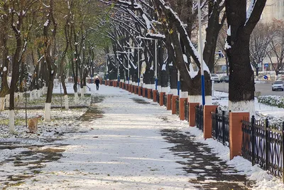 Погода на Новый год удивит россиян: синоптики делают прогнозы