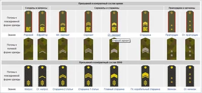 Воинские звания и погоны в армии России по возрастанию | Войсковые Части  России | Дзен