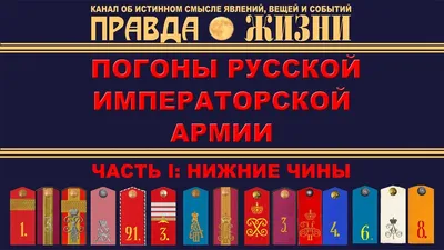 Декоммунизированные» погоны порошенковской армии