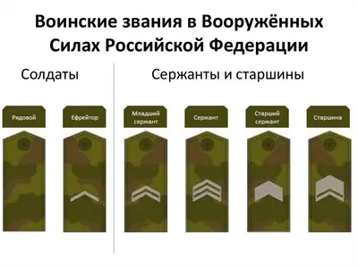 Погоны и звания в картинках | КЛУБ ВЫПУСКНИКОВ АКАДЕМИИ ФСО РФ