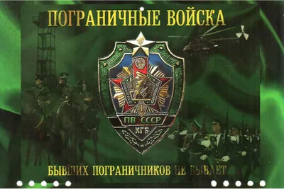 Футболка Пограничные войска 841 купить с доставкой, цена и фото на сайте  maek-mir.ru