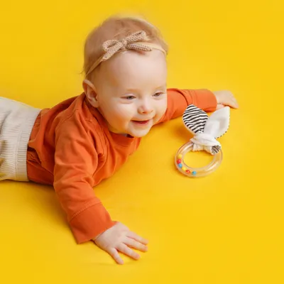 Погремушка MOO-RING Happy Baby купить по цене 550руб. в Москве в  официальном интернет-магазине
