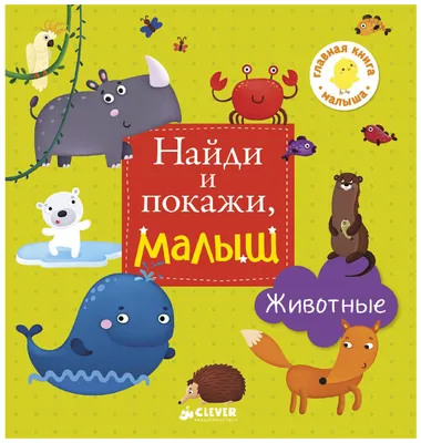 Купить Найди и покажи для девчонок, 24 стр в интернет магазине — BWAY. В  наличии в Ташкенте.