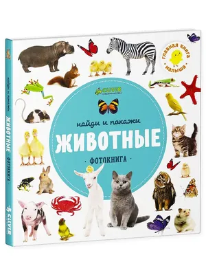 Угадай и покажи. Динозавры: купить книгу в Алматы, Казахстане |  Интернет-магазин Marwin