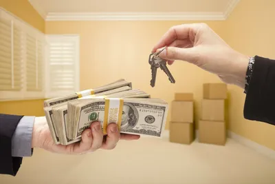 Как правильно торговаться при покупке недвижимости и получить лучшую цену:  советы от экспертов