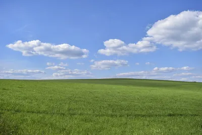 Поле. Русское поле.. Фотограф Сергей Низовцев