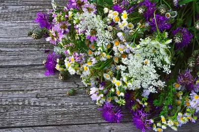 Полевой аккуратный - купить в СПБ с доставкой в Kraft Flowers