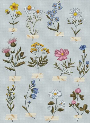 Полевые цветы, схема для вышивки, арт. АЛ-040 Антонина Лебедева | Купить  онлайн на Mybobbin.ru