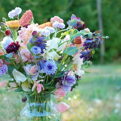 Букет полевых цветов, разнообразные …» — создано в Шедевруме