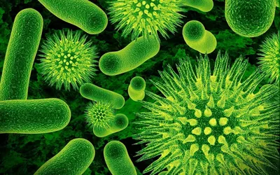 Микробы: полезные и вредные» — создано в Шедевруме