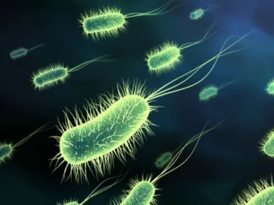 символы микро. мультипликационные бактерии и вирусы. юные одноклеточные  микроорганизмы. вредные и полезные микробы Иллюстрация вектора -  иллюстрации насчитывающей шуточно, изолировано: 240849144