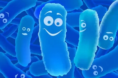 Целый мир внутри: какие бактерии живут в нашем кишечнике и зачем они нужны  - Лайфхакер