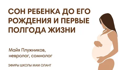 Книга Годовой курс за полгода для детей 1-2 лет. Горохова А.М. - купить  развивающие книги для детей в интернет-магазинах, цены на Мегамаркет |